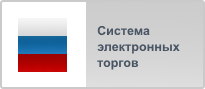 Общероссийская система электронной торговли