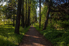 Петровский парк 
