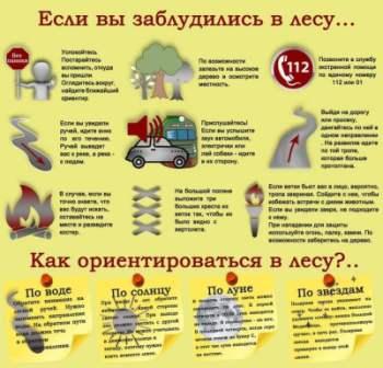 Как не заблудиться в лесу