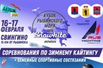  Кубок Рыбинского моря 2019 по сноукайтингу