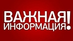 На Деминский марафон организуют работу автобусного маршрута