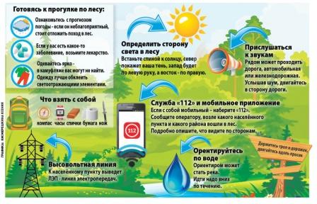Как не заблудиться в лесу
