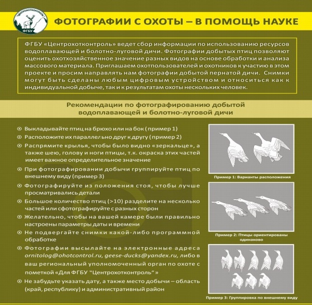 Рекомендации по фото