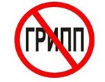 Эпидемии гриппа в Рыбинске нет